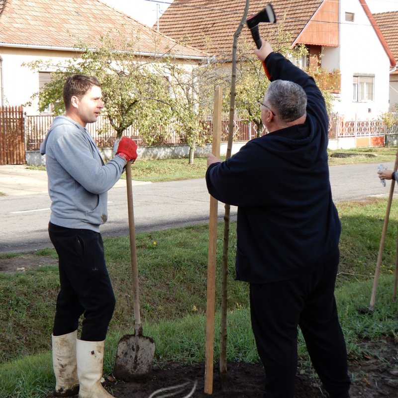 Közösségi faültetés Berettyóújfaluban 71